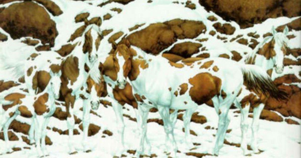 How Many Horses Can You See In This Mind-boggling Optical Illusion?